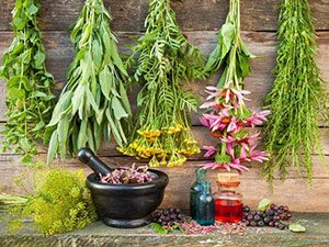 cannalife-botanicals-topicals cannalife-botanicals-topicals